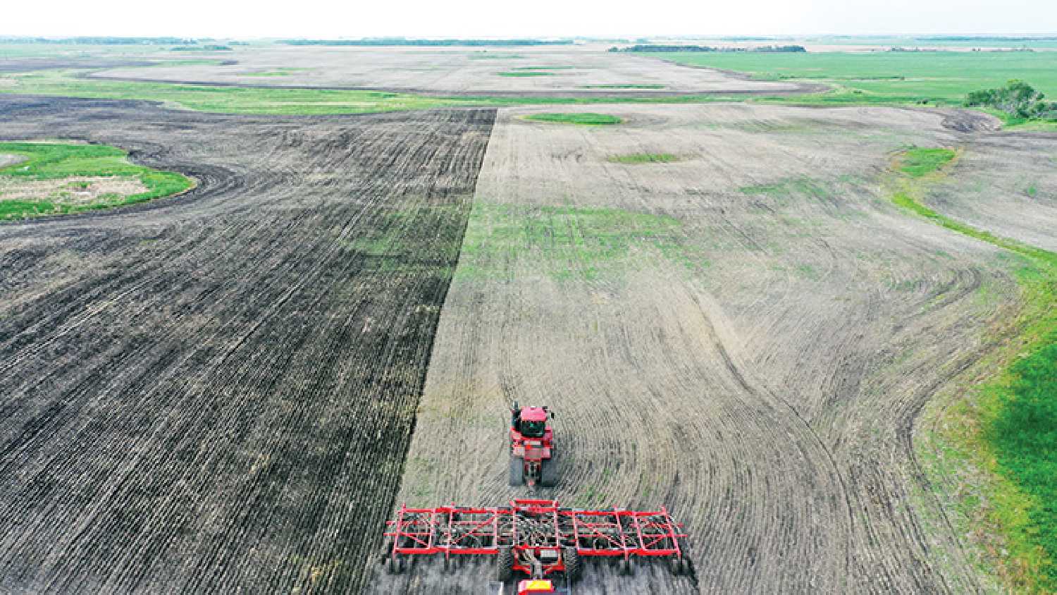 A crop being seeded north of Moosomin in 2022.